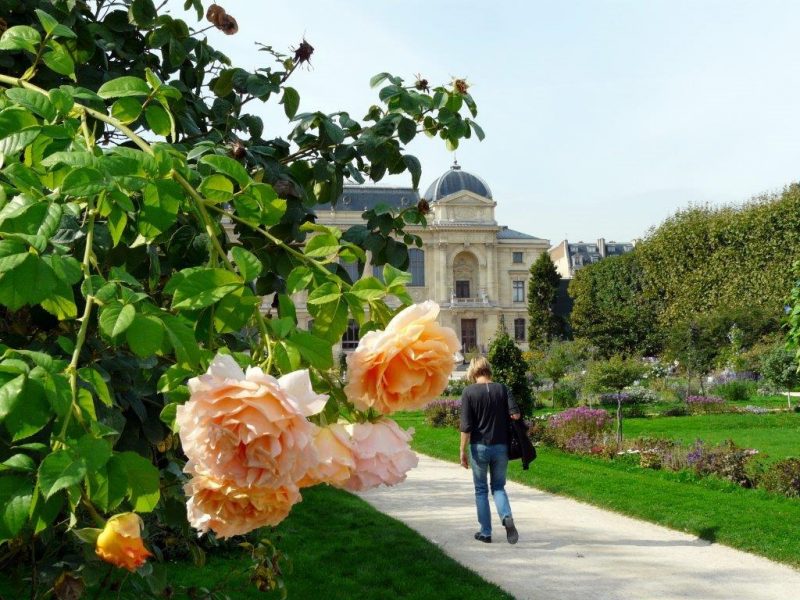 Verdure à Paris : Parcs et Jardins Parisiens par l'Hôtel de Seine