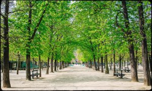 A hotel close to the Jardin du Luxembourg Paris (Luxembourg Garden)