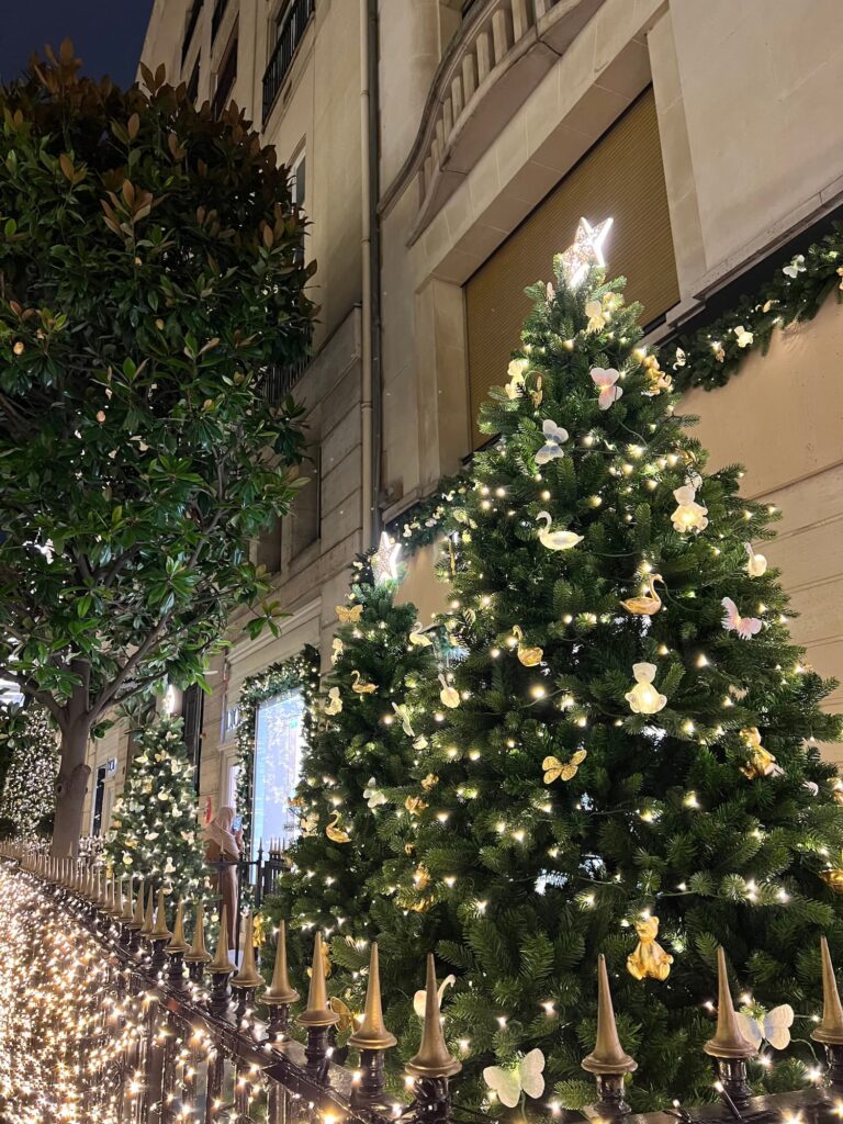 Christmas in Paris | Christmas lights and Christmas tree in avenue Montaigne Paris